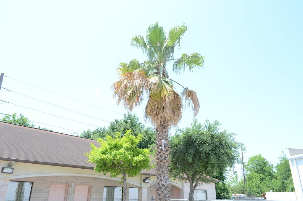 Texan Inn & Suites Louetta Bagian luar foto